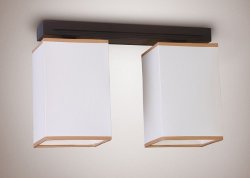 Люстра припотолочная 20881