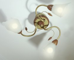 Люстра потолочная N&B Light 16103