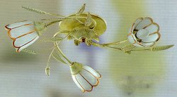 Люстра припотолочная TINKO 35472/3H WT+GO