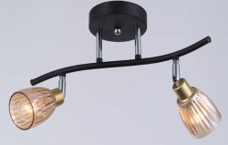 Светильник направленного света(спот) Sirius 11105/2W