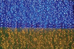 Гирлянда внутренняя светодиодная Delux Curtain UA 288LED 0,9x0,6m (синий+желтый/проз)