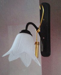 Світильник настінний(бра) з плафоном TINKO 99655/1W