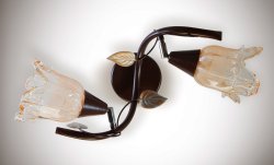 Светильник настенно-потолочный 2001