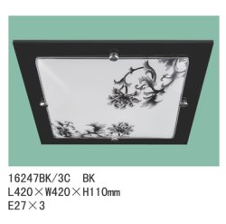 Светильник потолочный TINKO 16247BK/3C